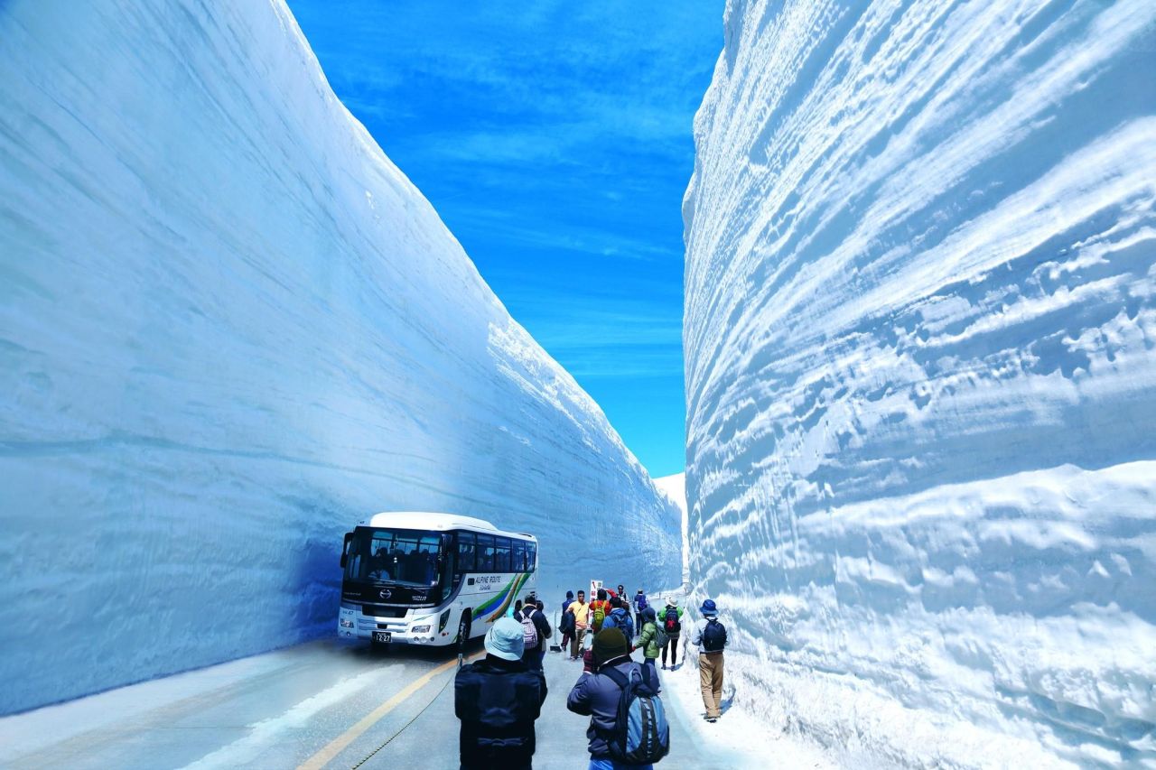 日本立山黑部春季旅遊推薦｜雪之大谷、紫藤花海、上高地，一次收藏日本最美的春天