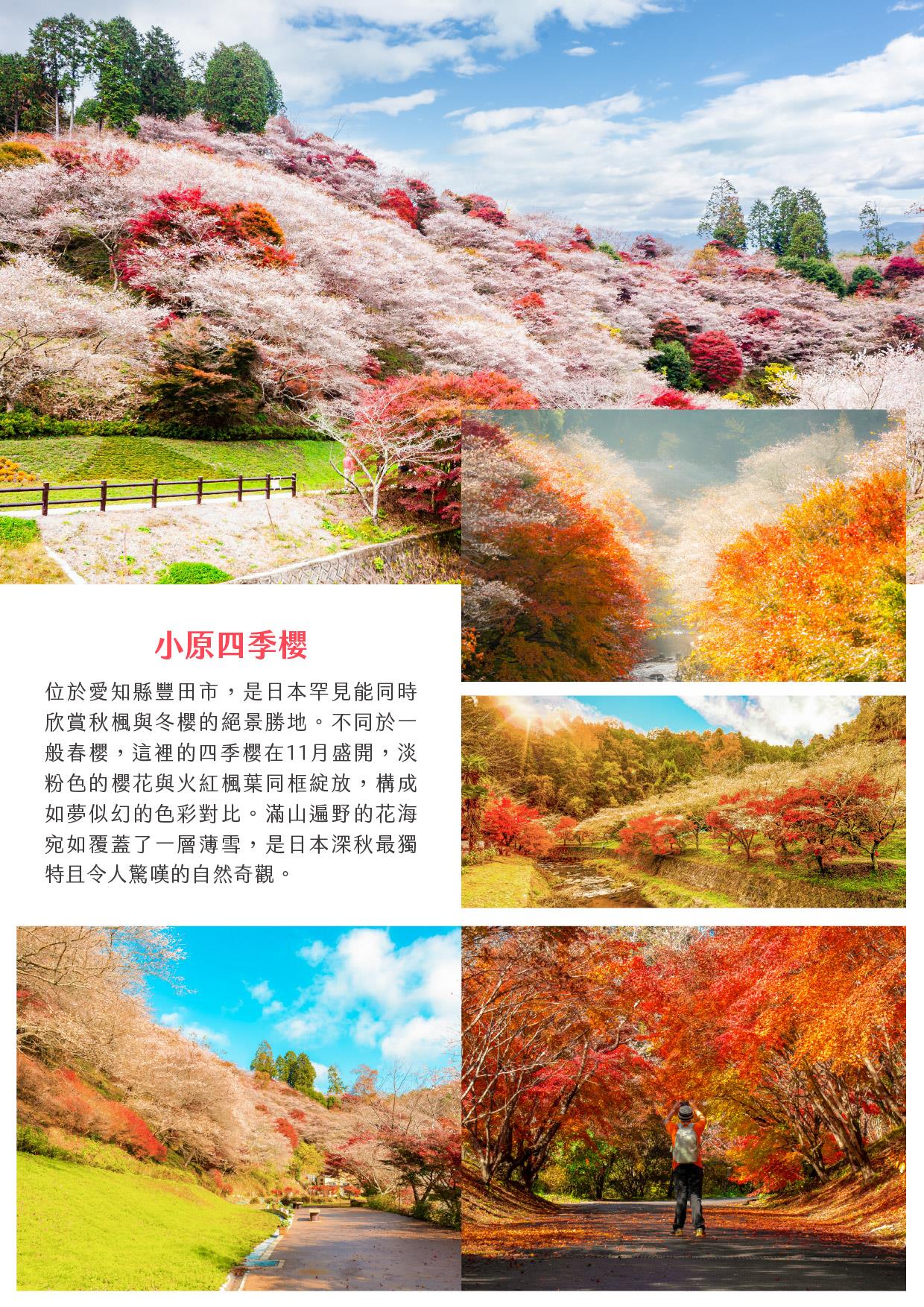 行程特色圖片