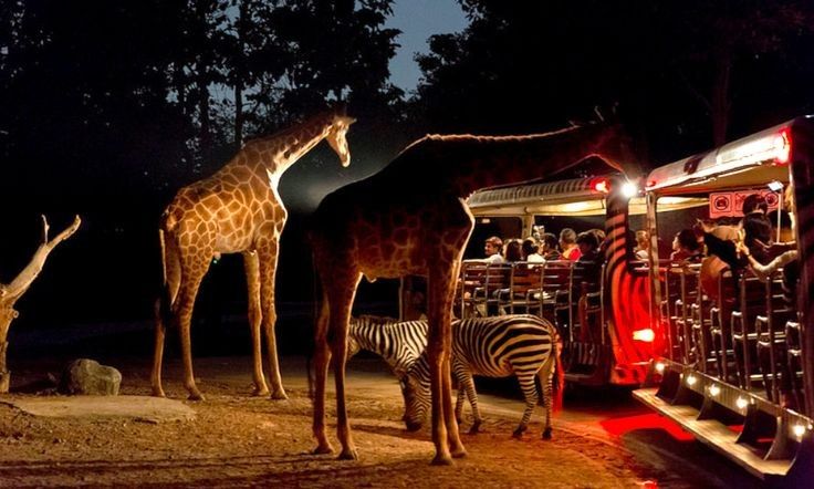 豪華清邁6日．入住兩晚五星渡假村．清邁夜間動物園．米其林餐廳．天使瀑布．森林美學莊園．蘭納古城之旅．鴉片博物館．金三角國家公園．黑屋博物館．亞洲航空